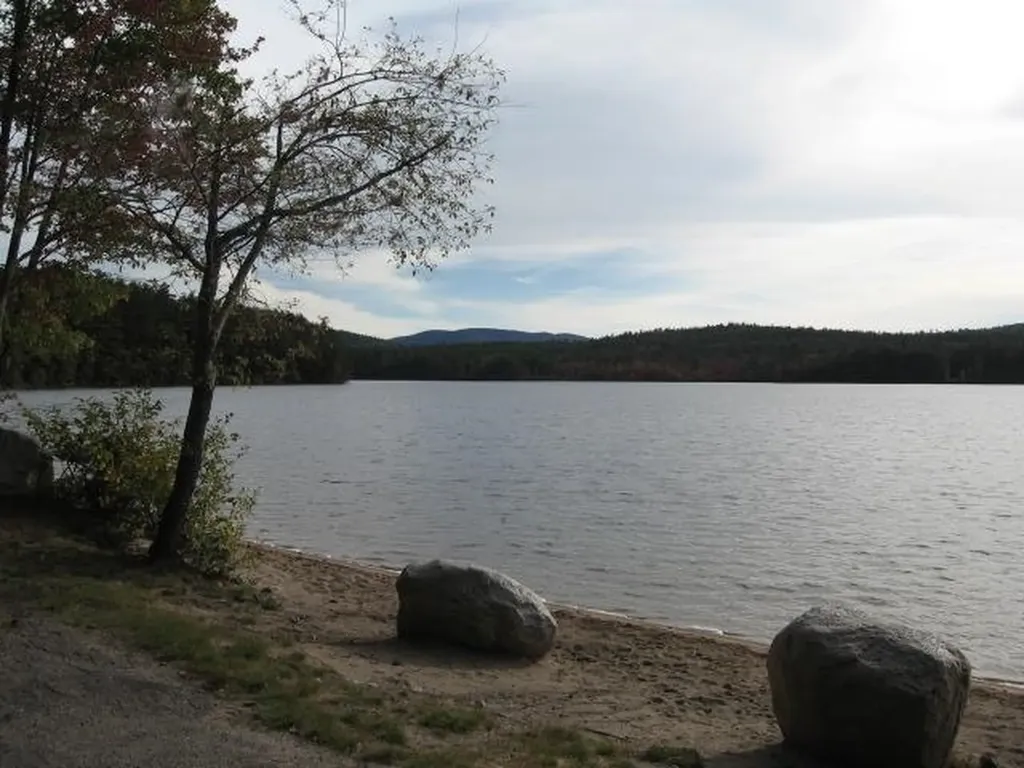 40 Murphy Lane Tamworth NH 03886