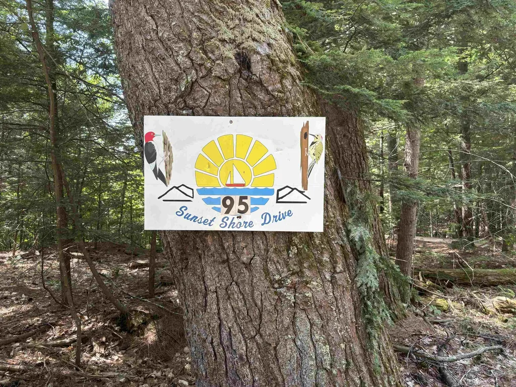 95 Sunset Shore Drive Alton NH 03810