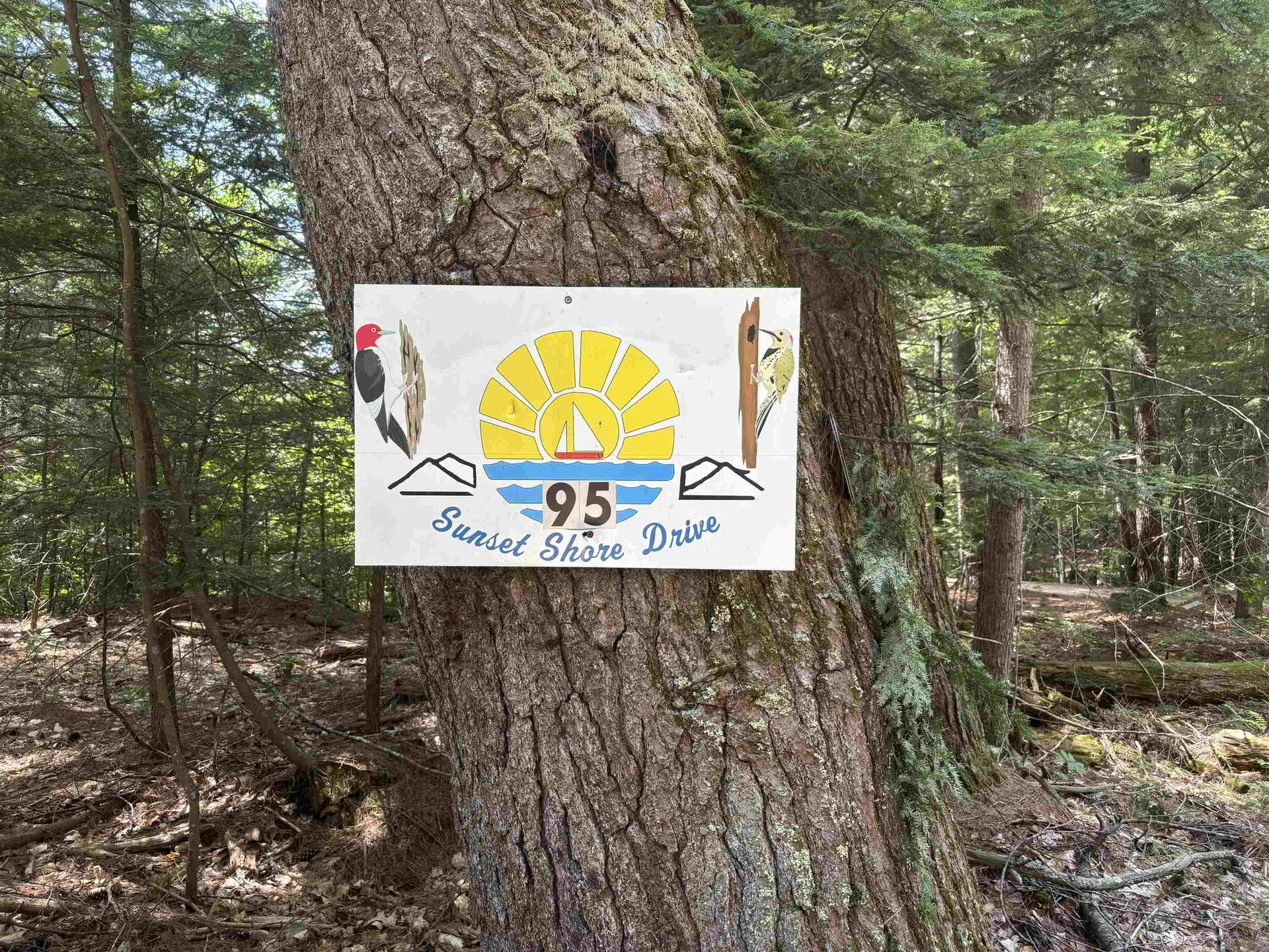 95 Sunset Shore Drive Alton NH 03810