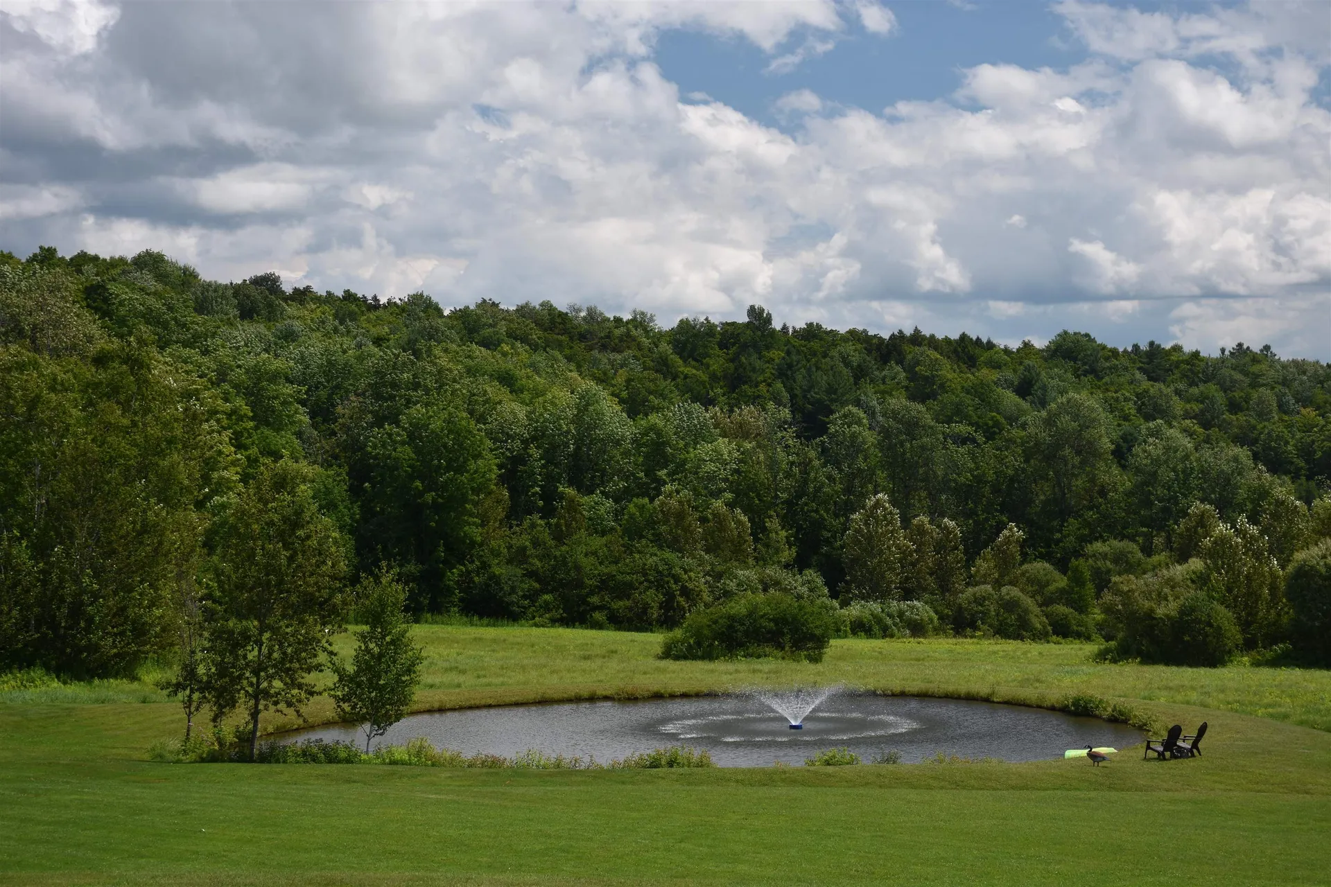 2316 Peth Road Braintree VT 05060