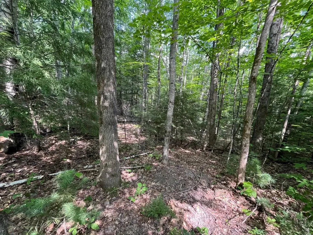 Map 204-lot 153 Bear Road Haverhill NH 03765