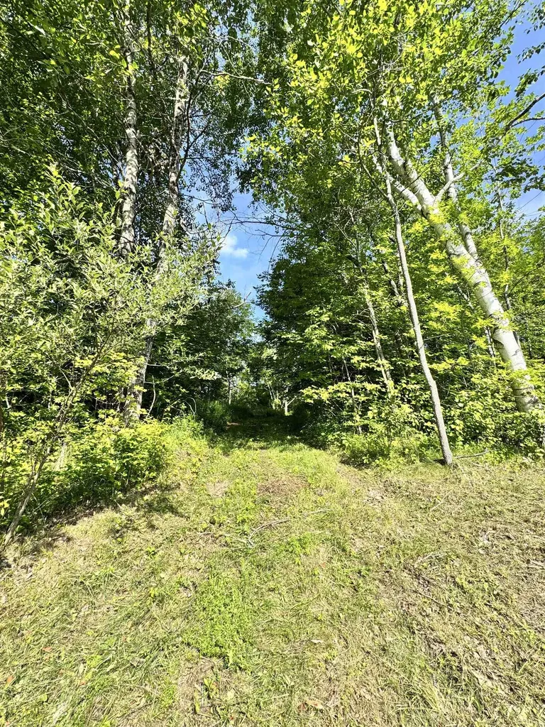 2574 Chelsea Road Corinth VT 05039
