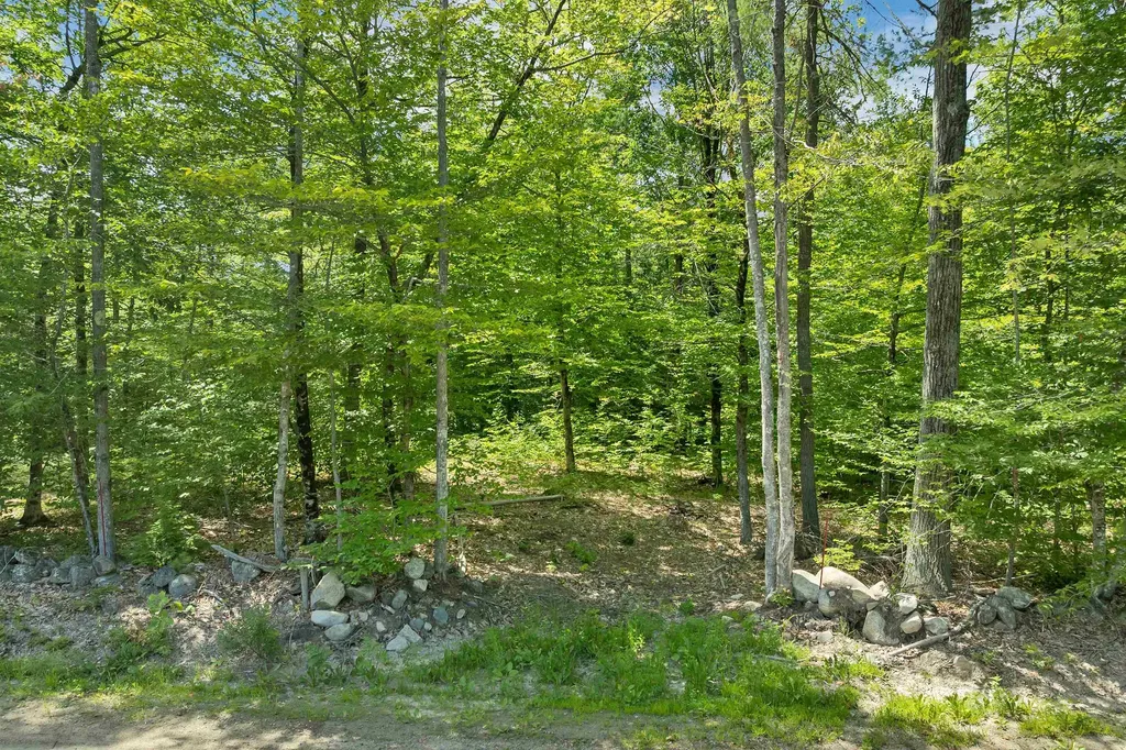 00 Leighton Corner Road Wakefield NH 03872