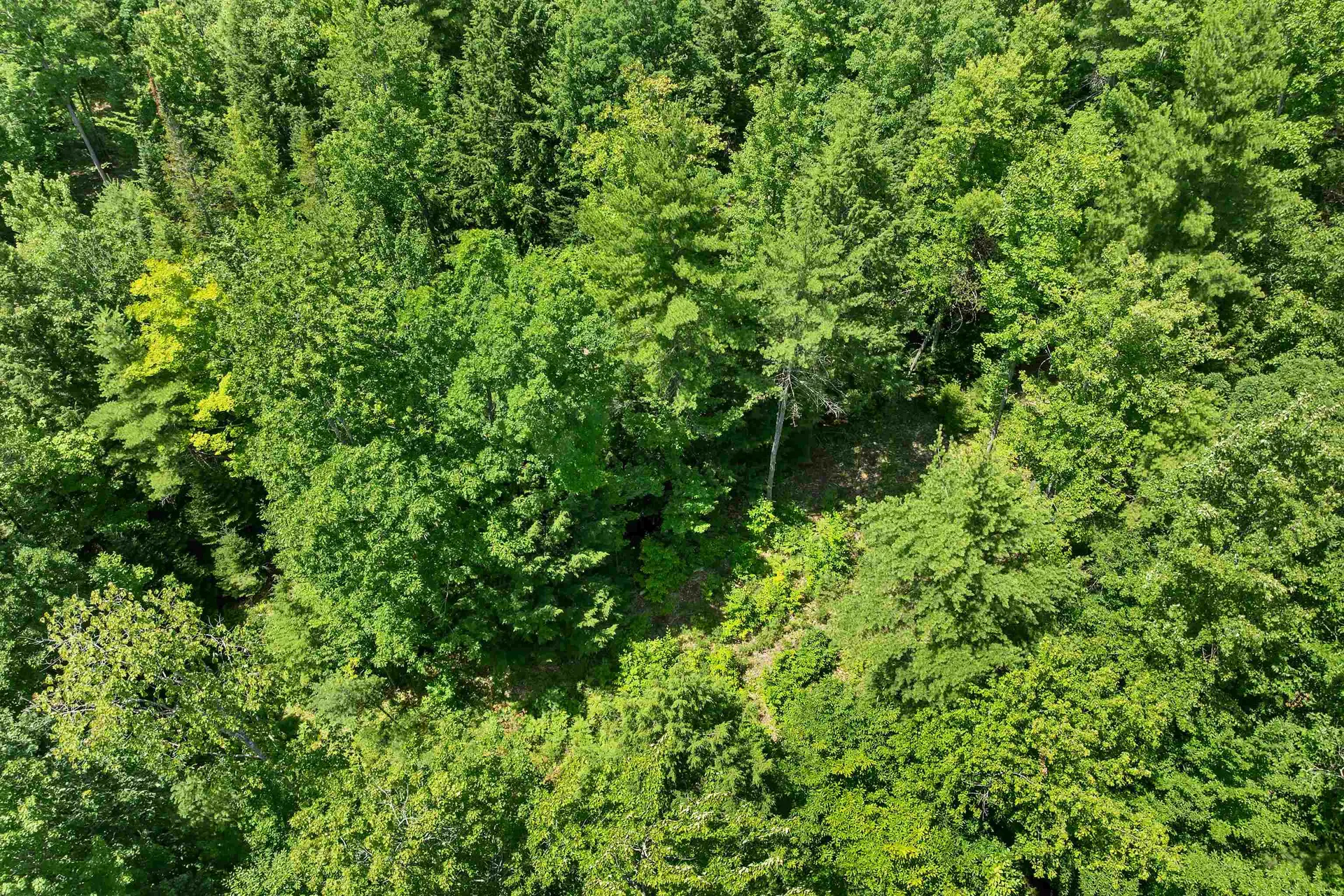 00 Leighton Corner Road Wakefield NH 03872