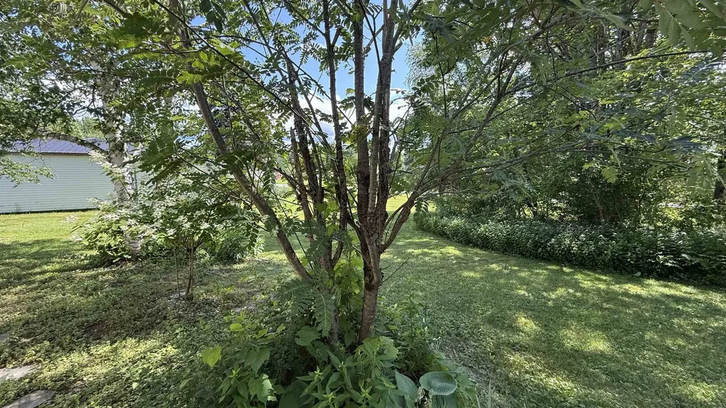 45 Oakwood Drive Hyde Park VT 05655