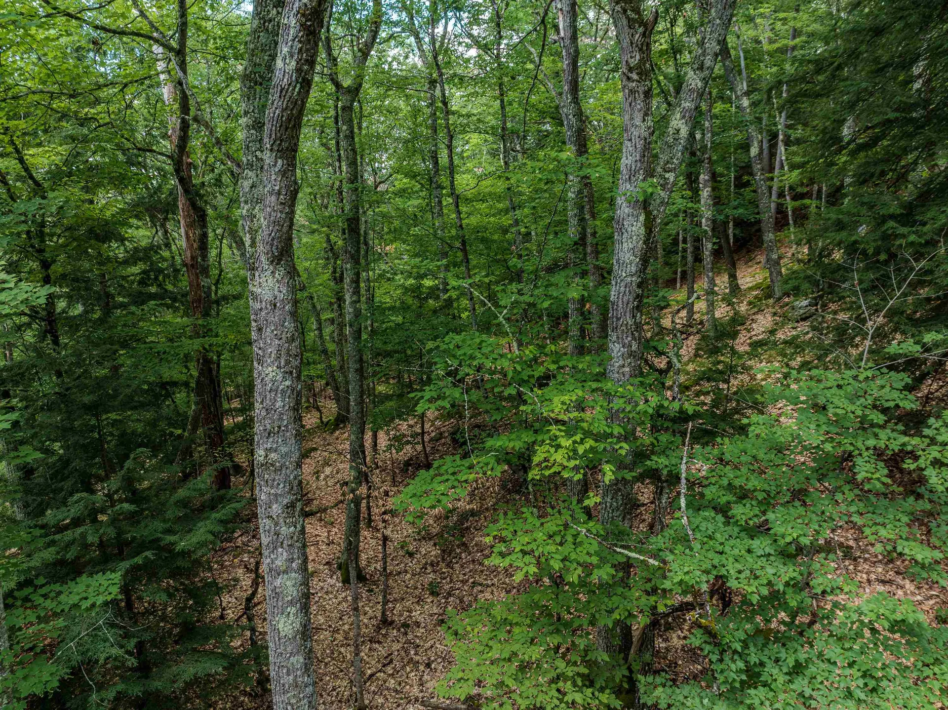 105 Beaver Pond Road Lyman NH 03585