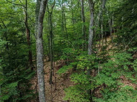 105 Beaver Pond Road Lyman NH 03585
