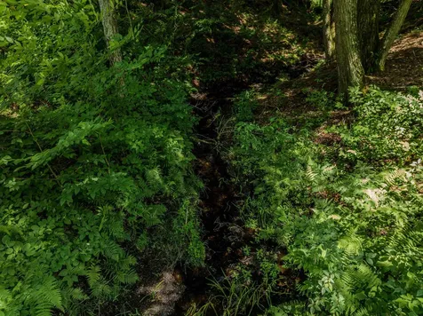 105 Beaver Pond Road Lyman NH 03585