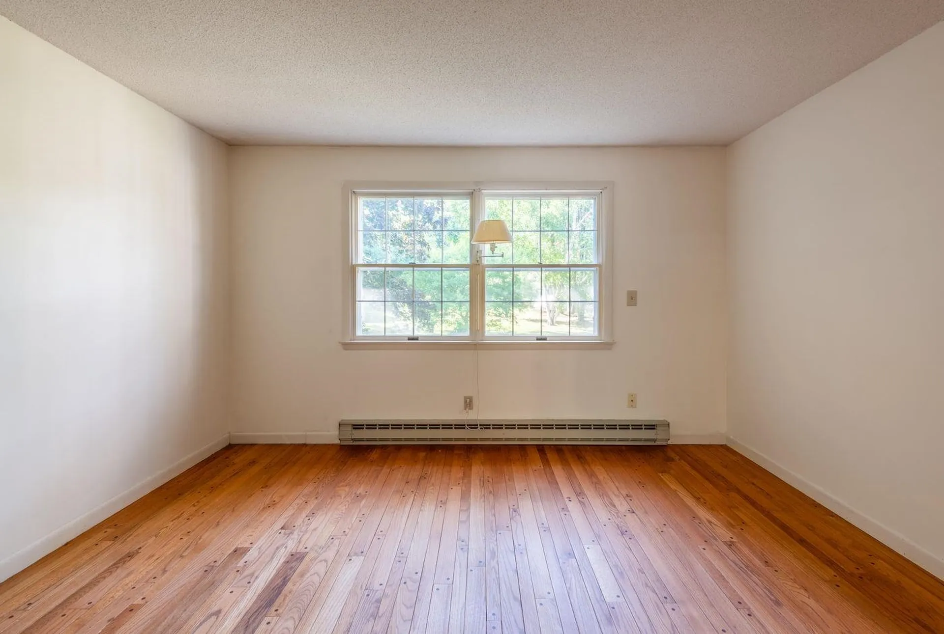 8 Mirror Lake Drive Tuftonboro NH 03853
