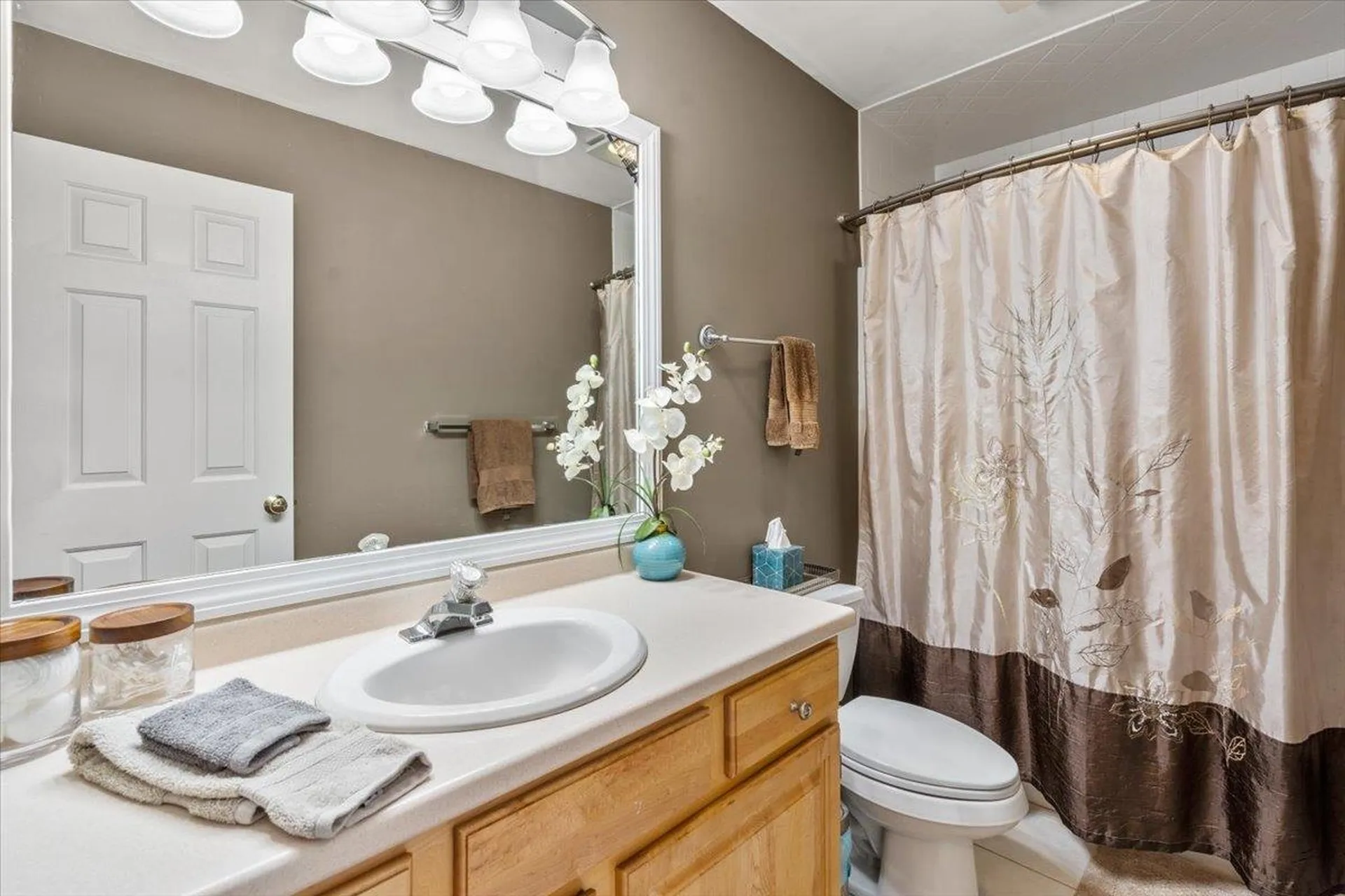 156 Catkin Drive South Burlington VT 05403