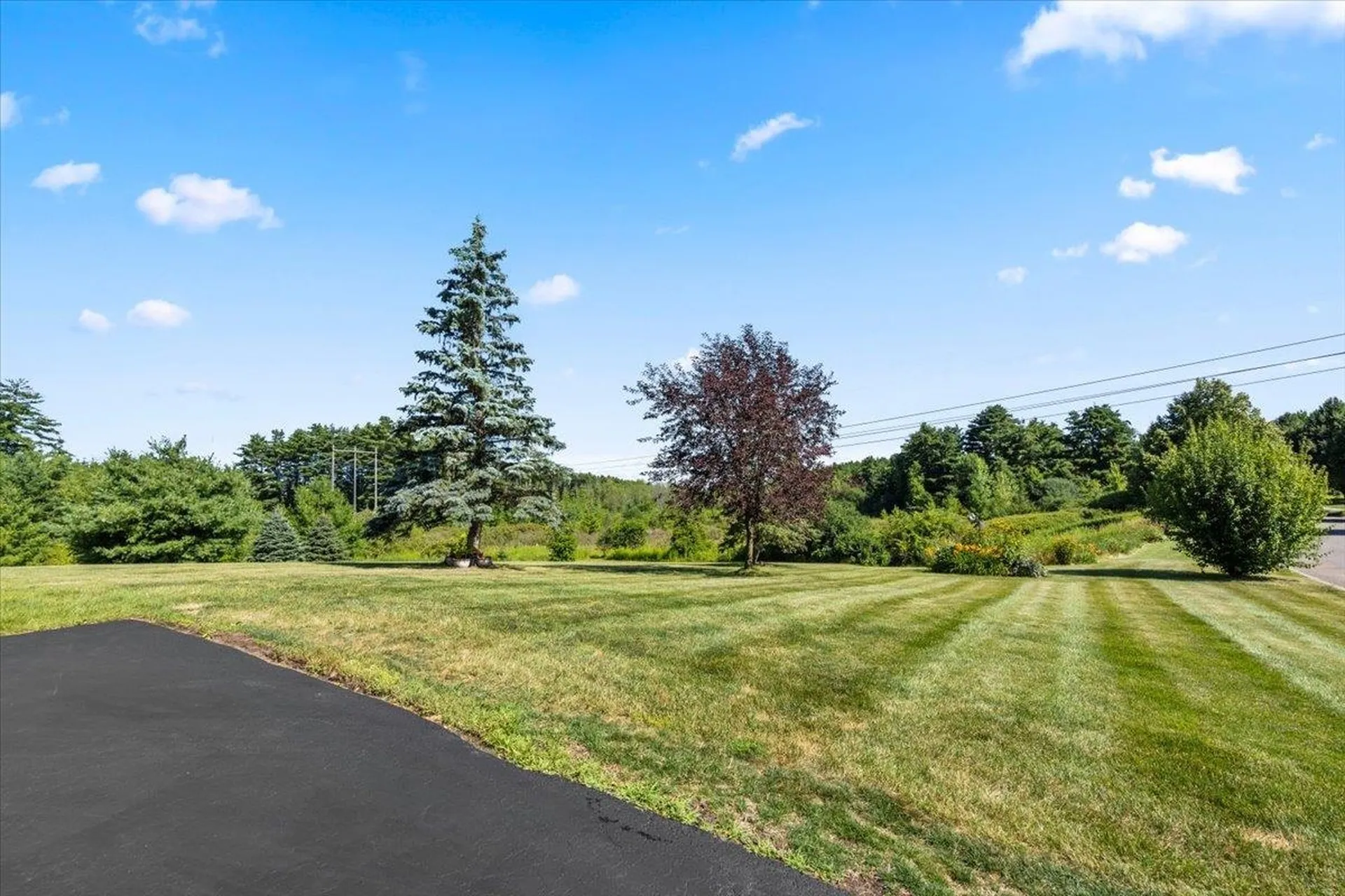 156 Catkin Drive South Burlington VT 05403
