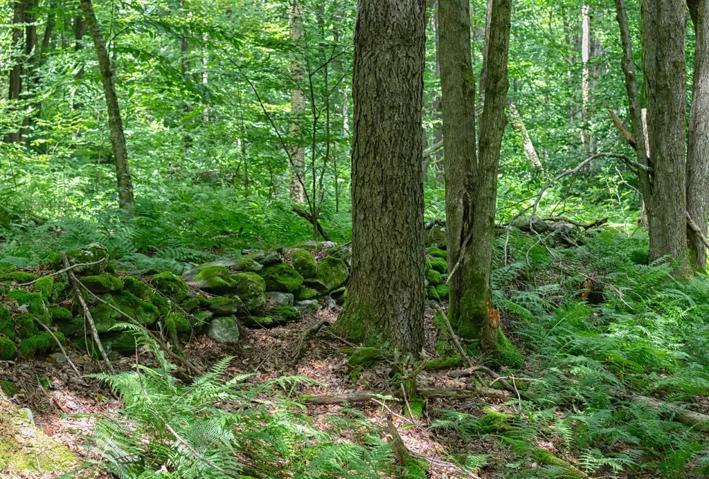 305 Poker Hill Road Underhill VT 05489