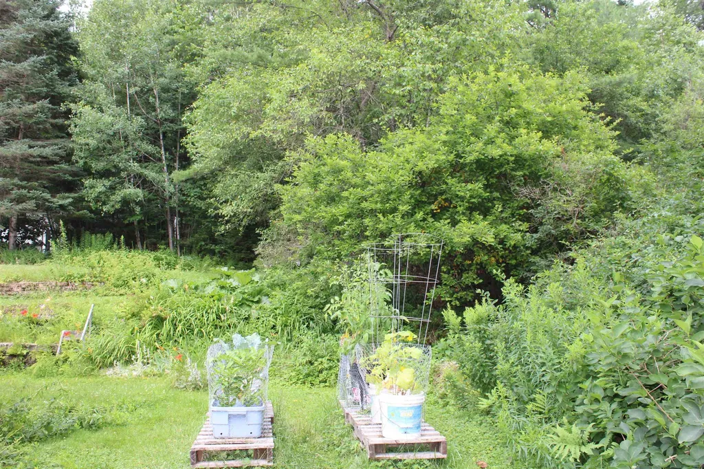8 Holly Heights Whitefield NH 03598