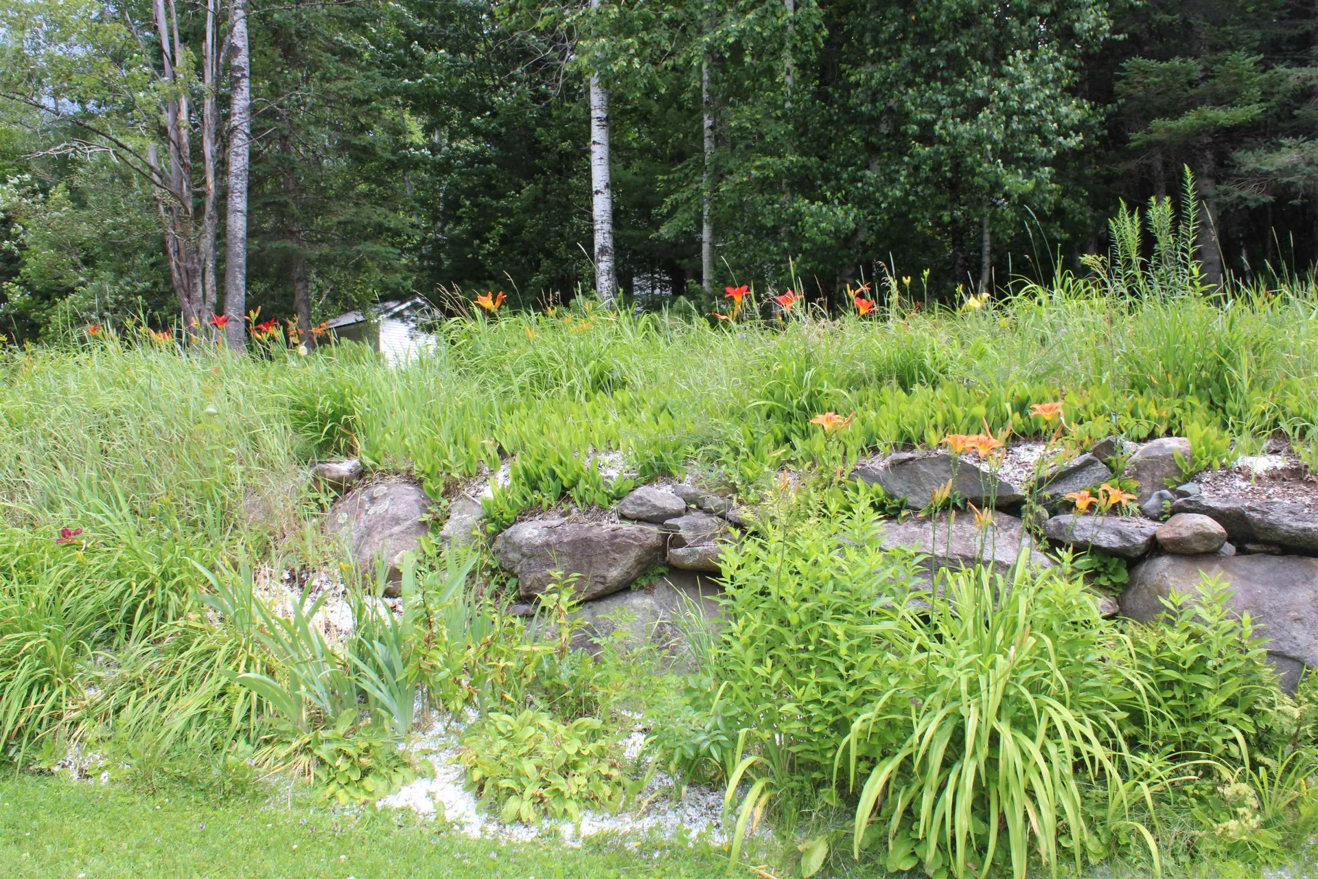 8 Holly Heights Whitefield NH 03598