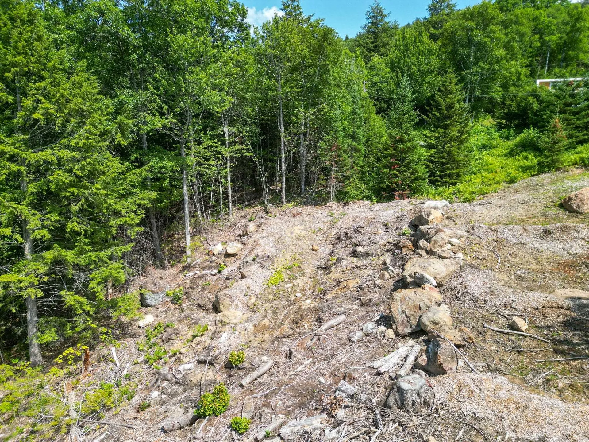 00 Middle Mountain Trail Jackson NH 03846