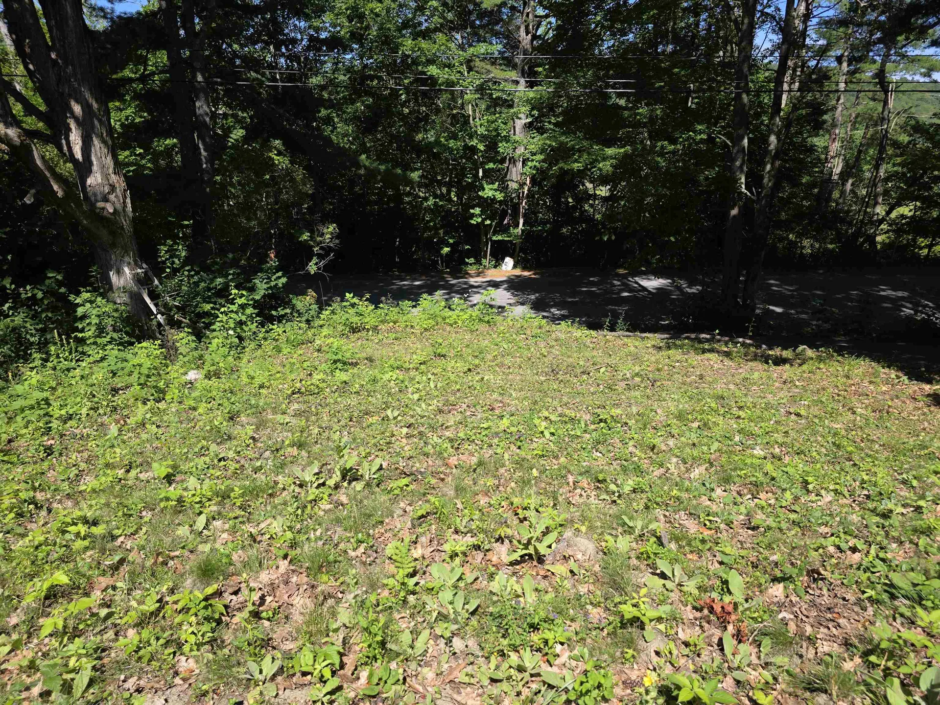1211 Skitchewaug Trail Road Springfield VT 05156