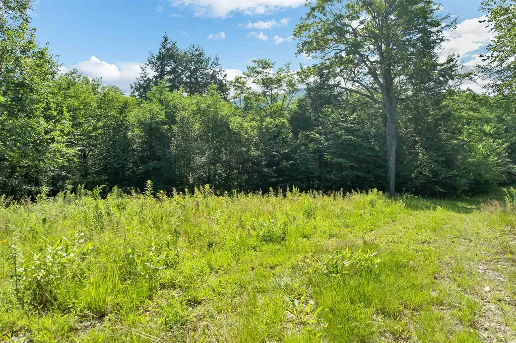 46 Marjories Walk Gilford NH 03249