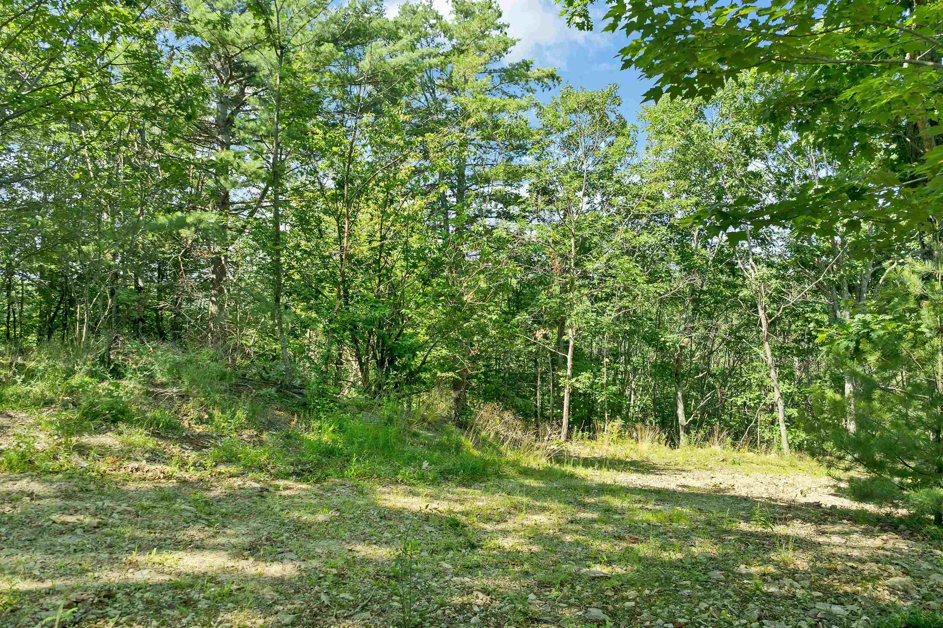 46 Marjories Walk Gilford NH 03249