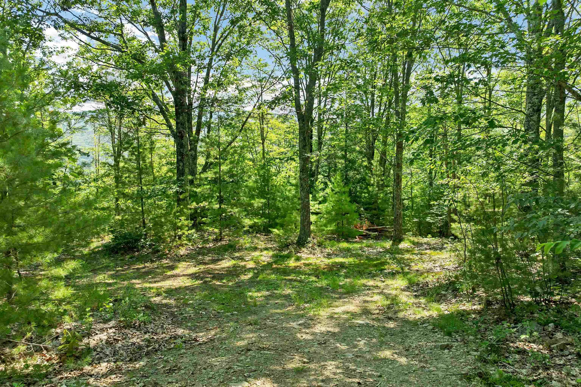 46 Marjories Walk Gilford NH 03249