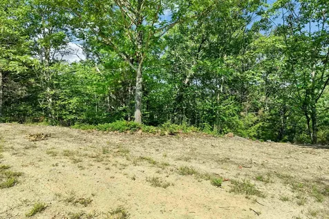46 Marjories Walk Gilford NH 03249
