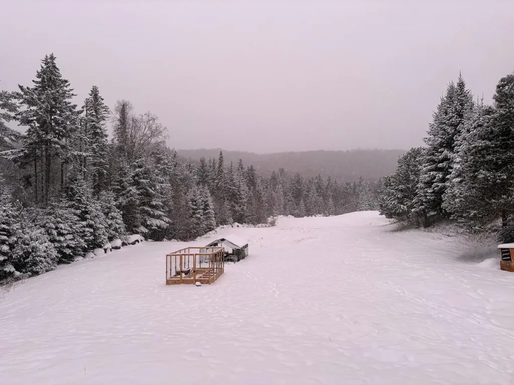 38 Thompson Road Newbury VT 05051