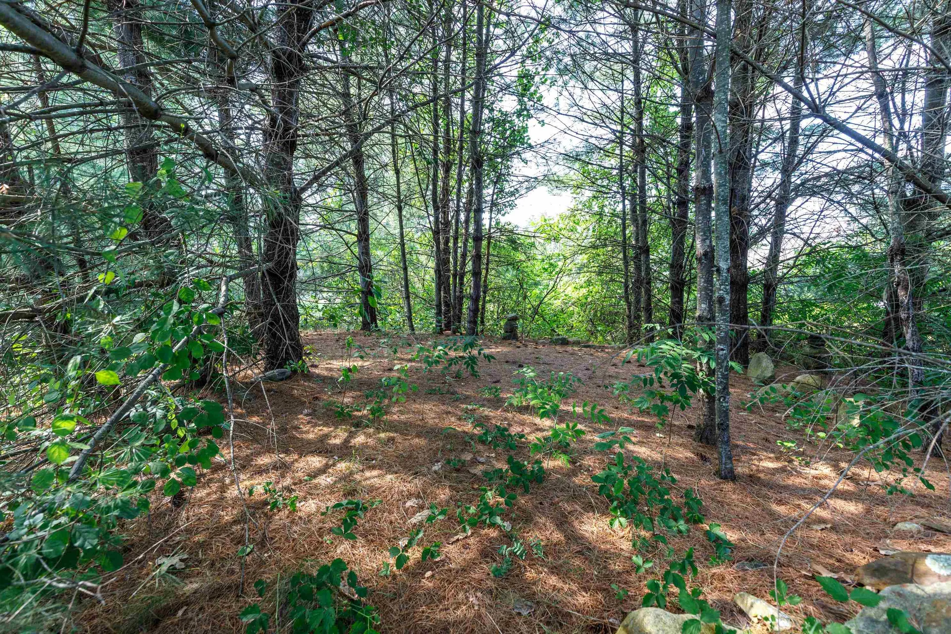 15 Tates Brook Road Somersworth NH 03878