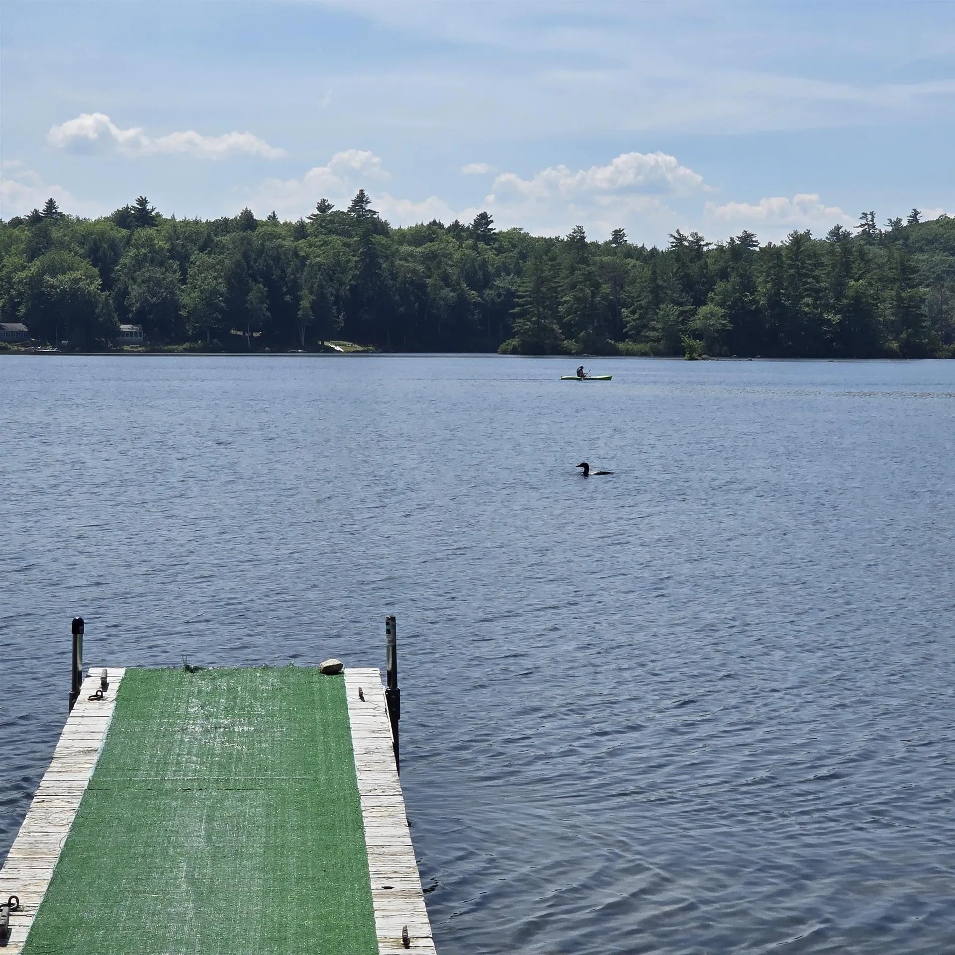 145 Sunset Shore Drive Alton NH 03810