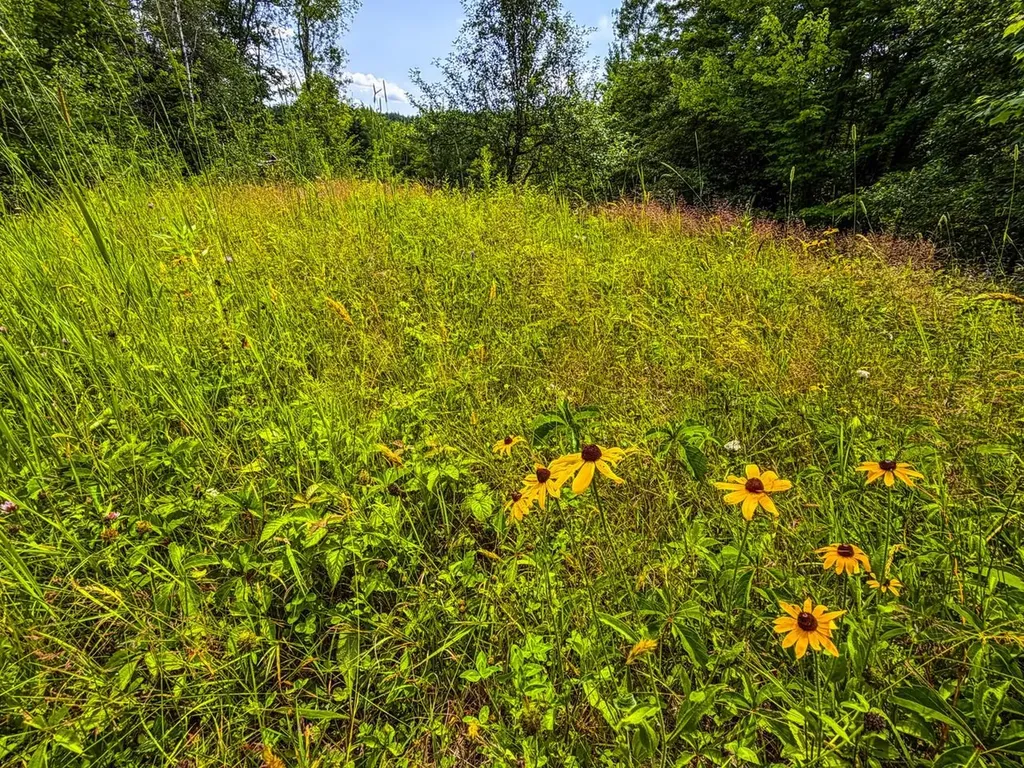 Tbd Wilder Road Duxbury VT 05660