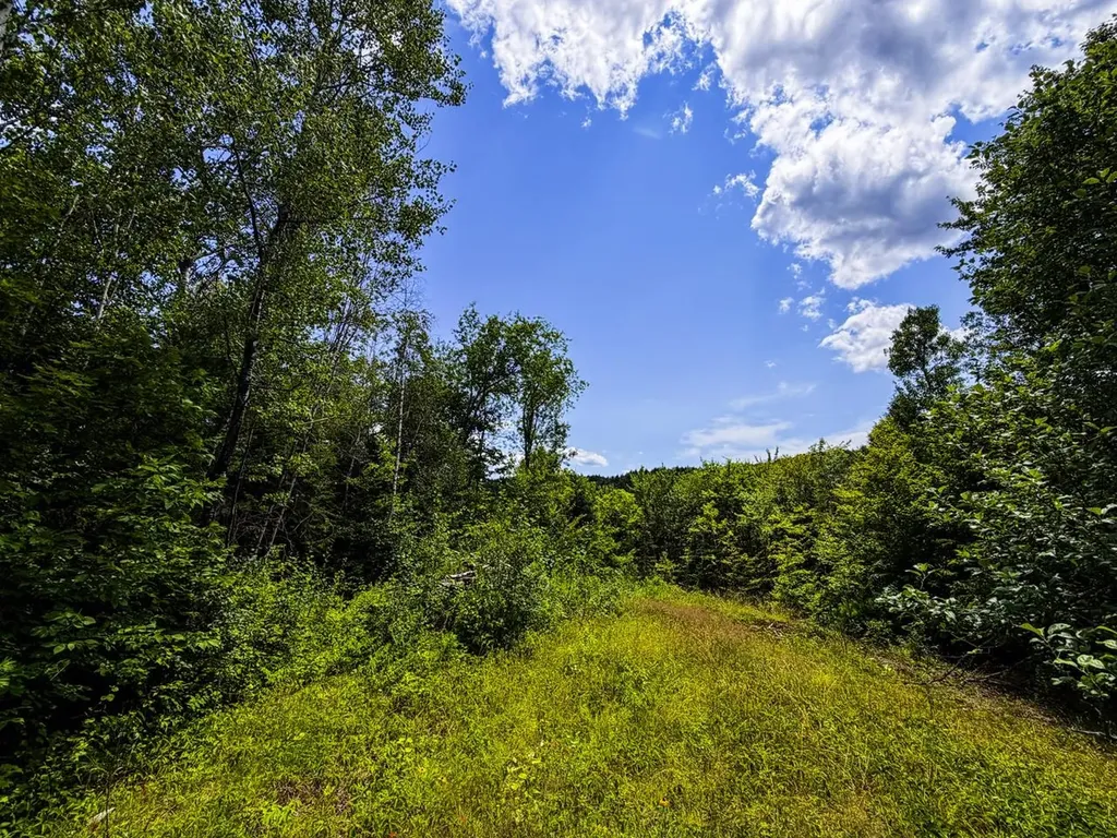 Tbd Wilder Road Duxbury VT 05660