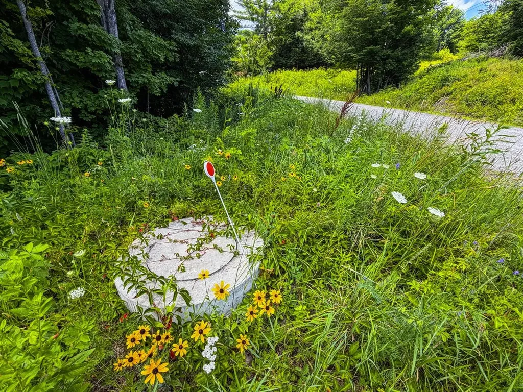Tbd Wilder Road Duxbury VT 05660