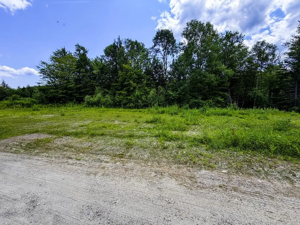 Tbd Wilder Road Duxbury VT 05660