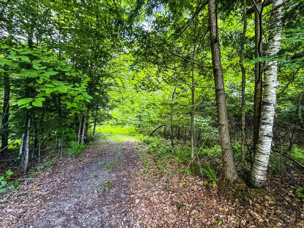 Tbd Wilder Road Duxbury VT 05660