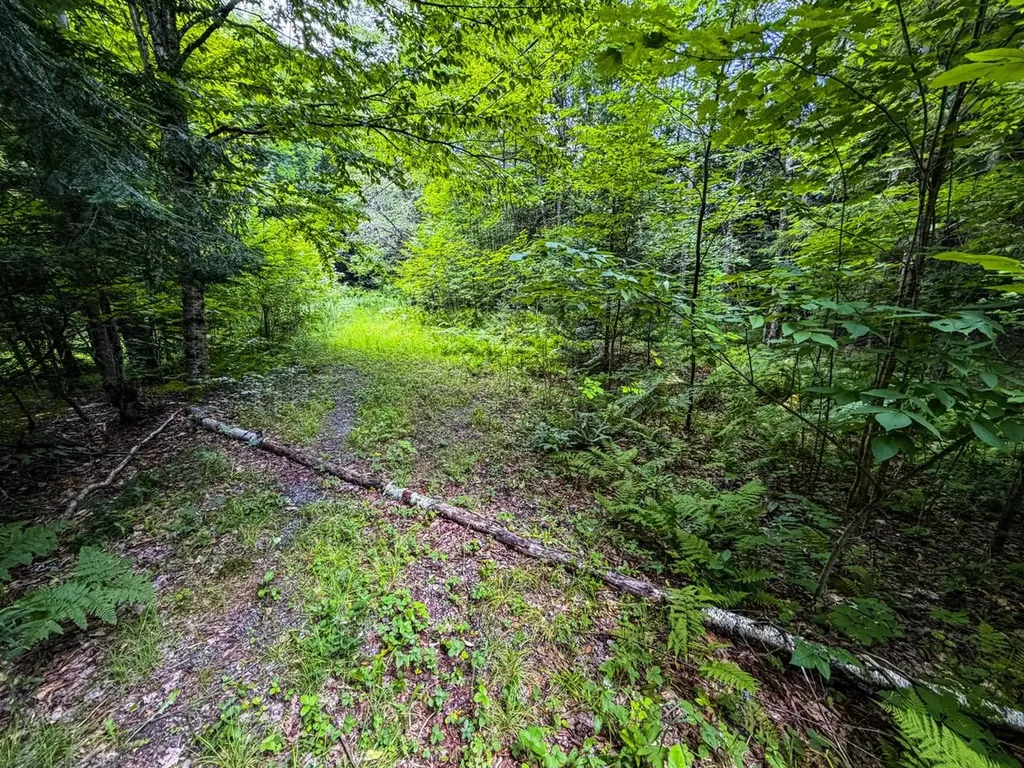Tbd Wilder Road Duxbury VT 05660