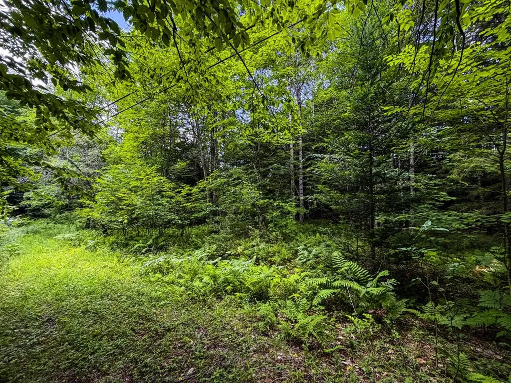 Tbd Wilder Road Duxbury VT 05660