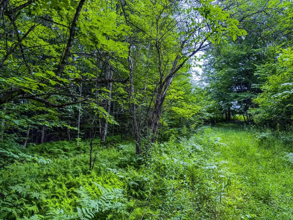 Tbd Wilder Road Duxbury VT 05660
