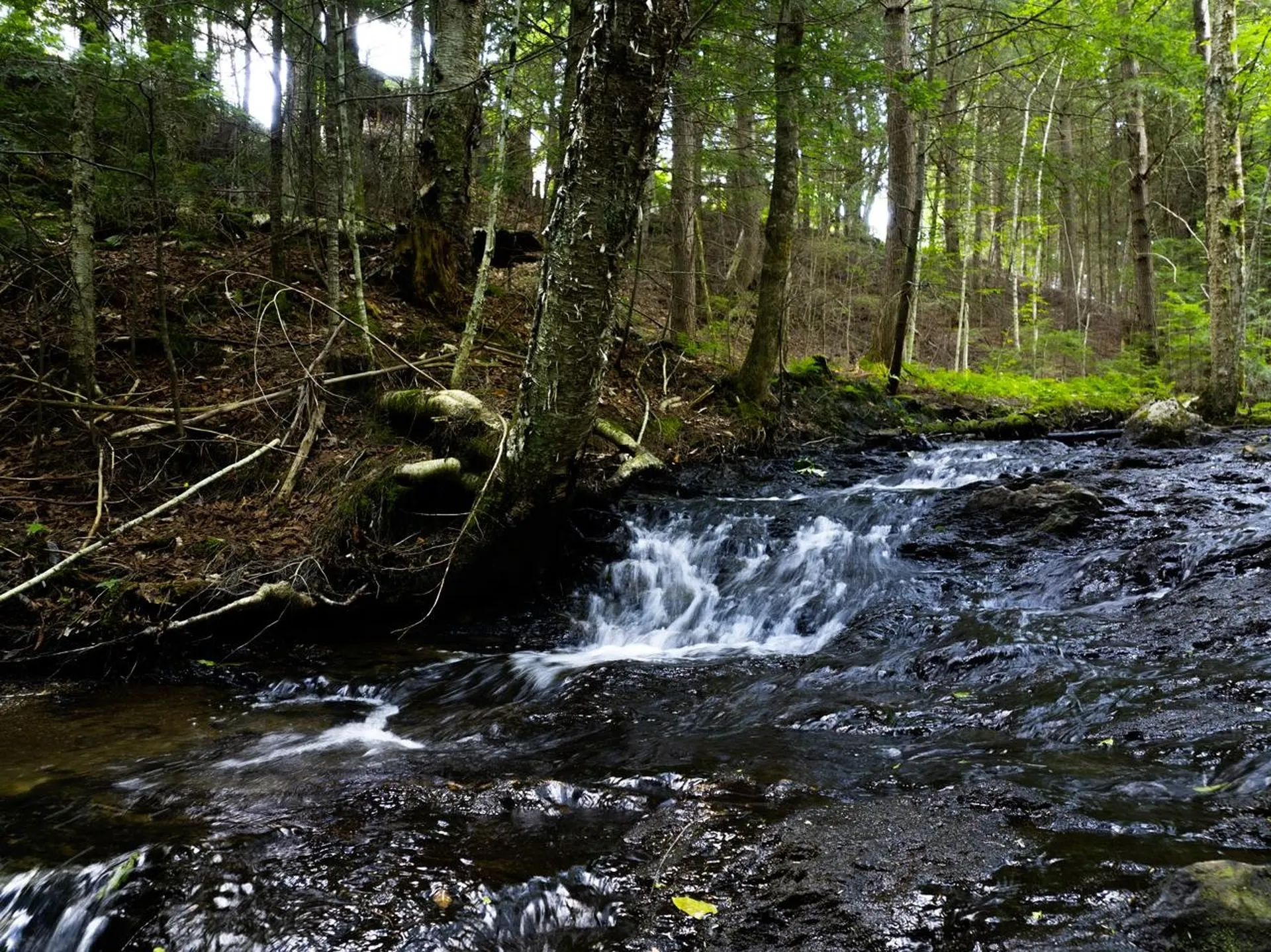 Tbd Wilder Road Duxbury VT 05660