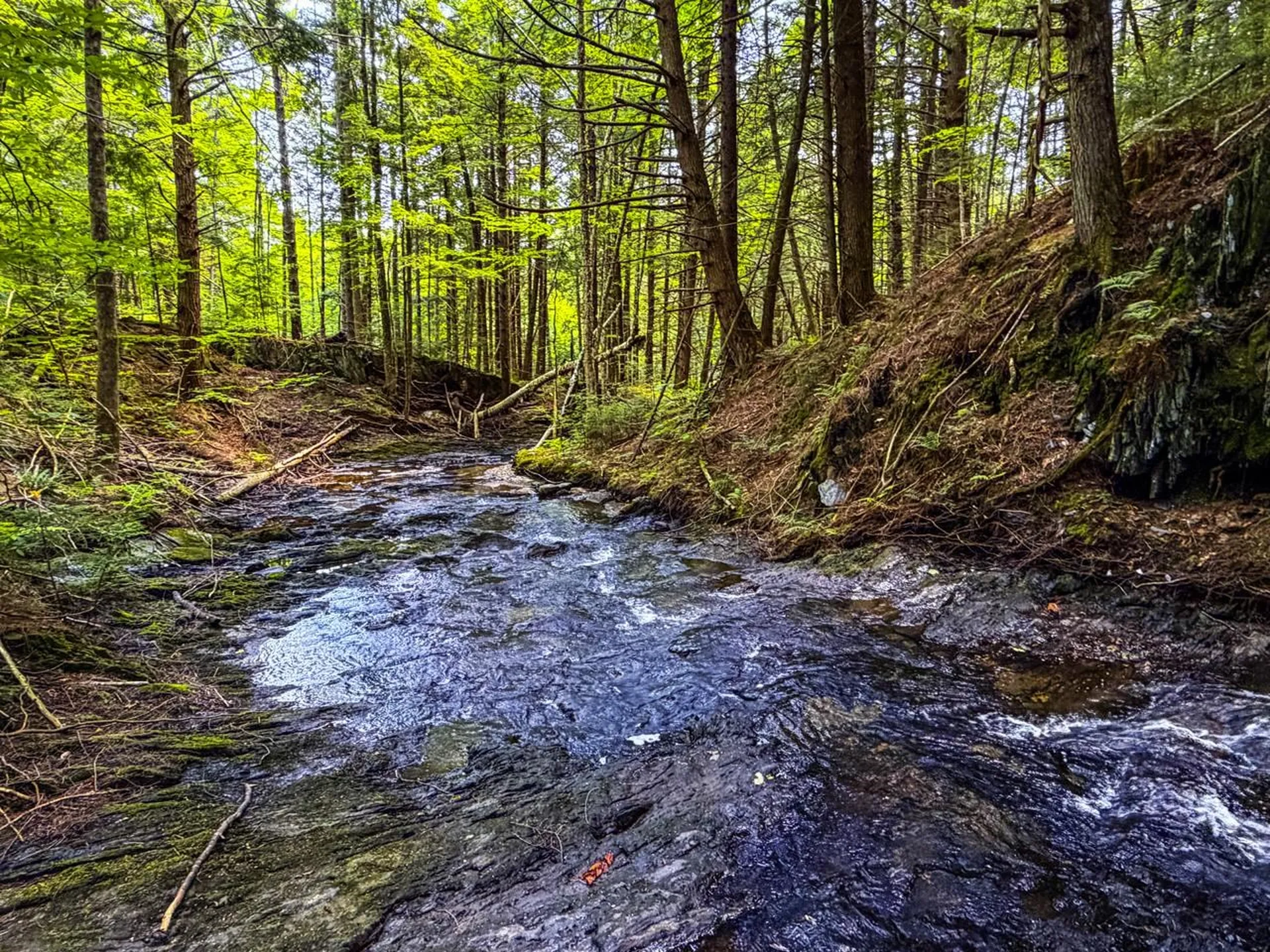 Tbd Wilder Road Duxbury VT 05660