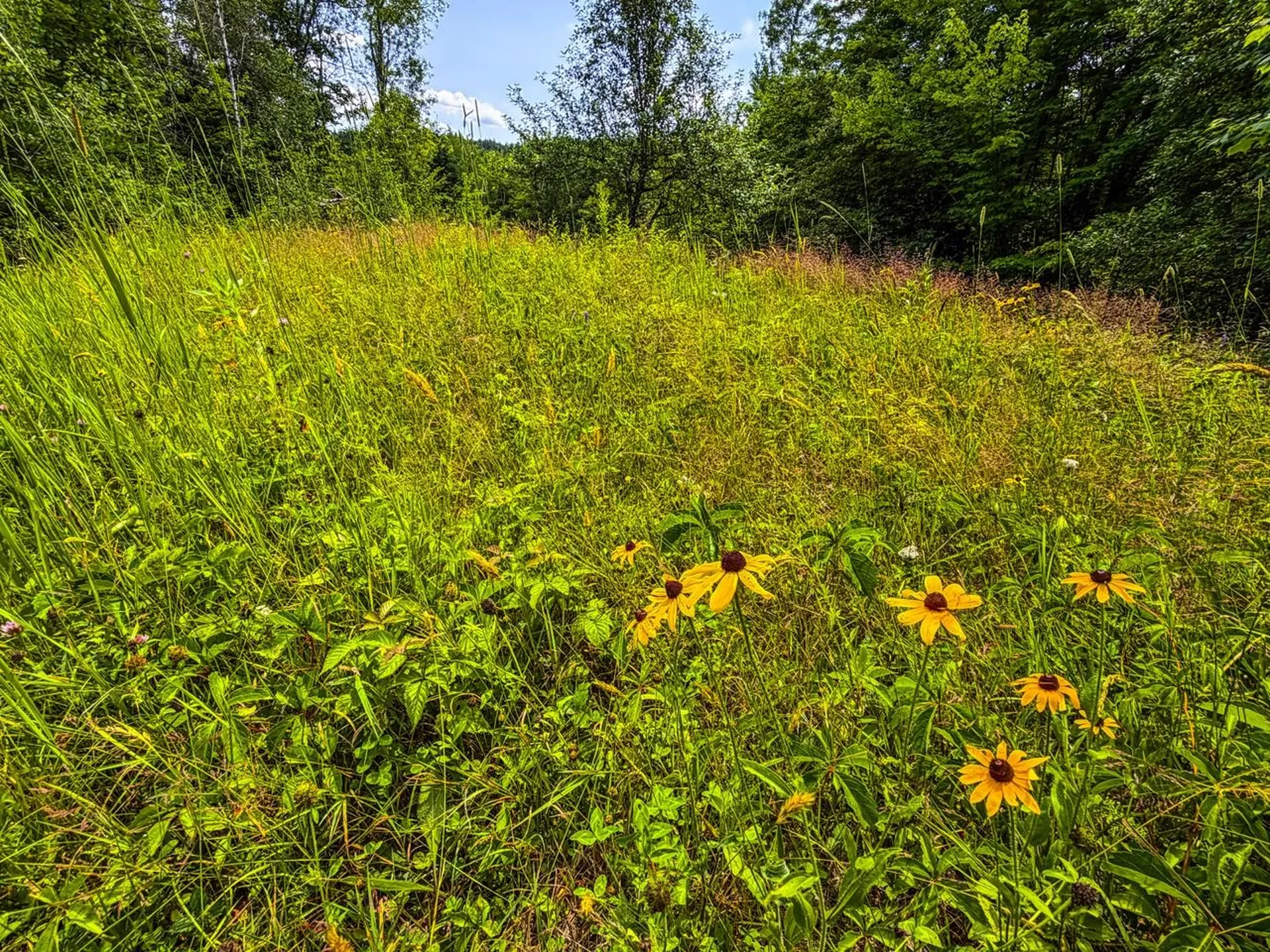 Tbd Wilder Road Duxbury VT 05660