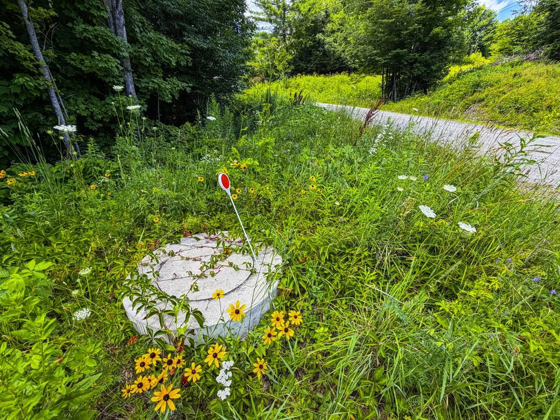 Tbd Wilder Road Duxbury VT 05660