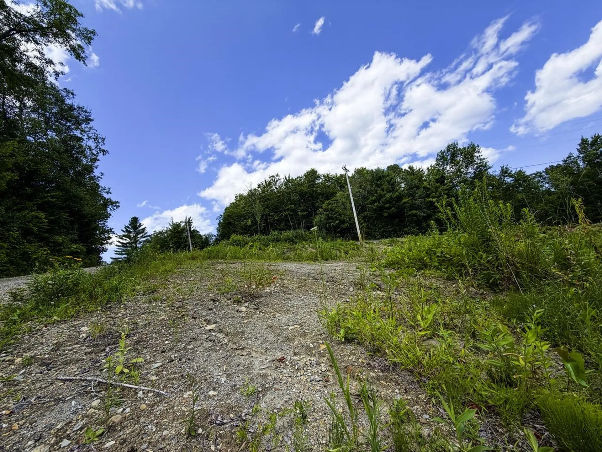 Tbd Wilder Road Duxbury VT 05660