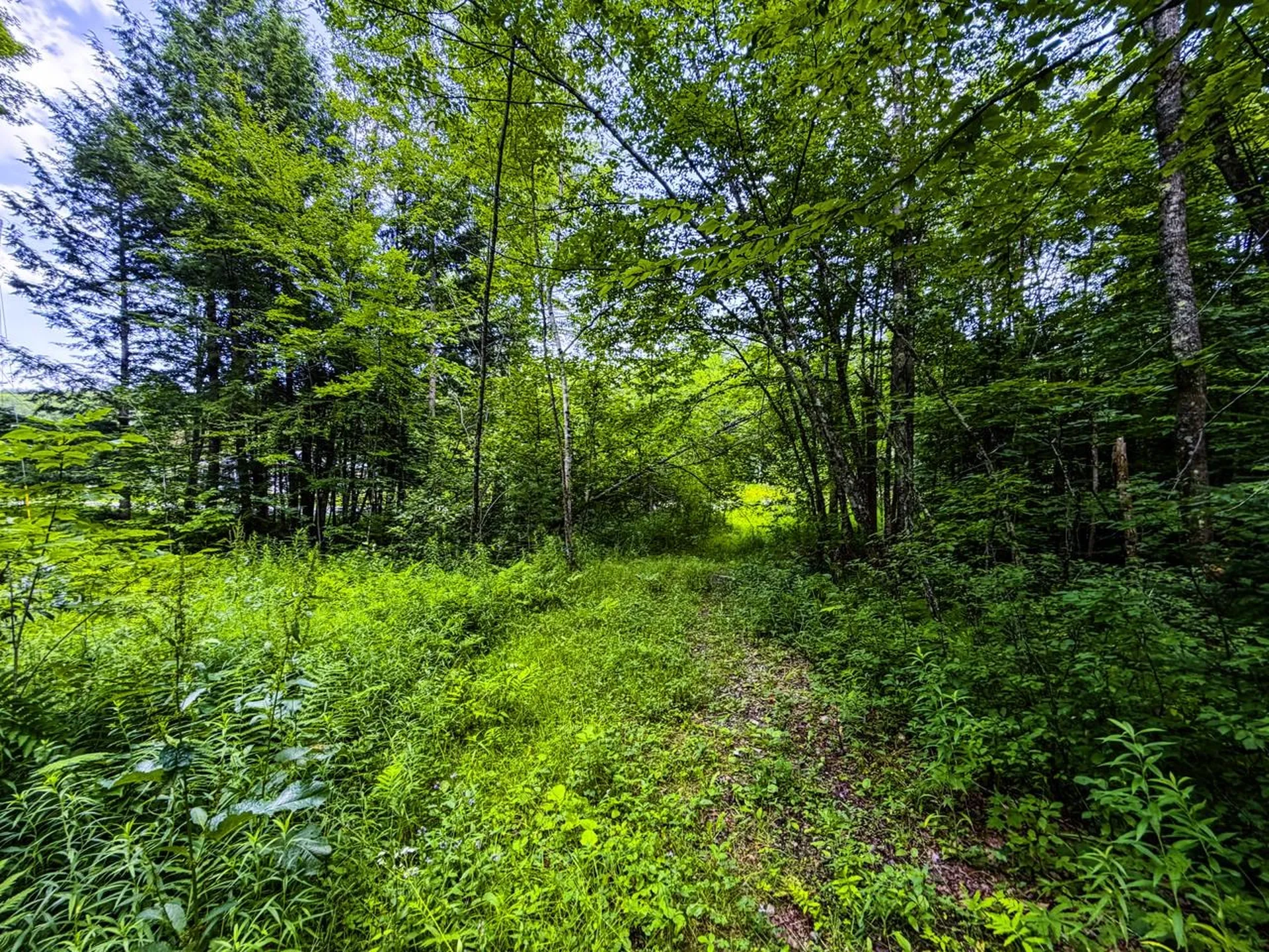 Tbd Wilder Road Duxbury VT 05660