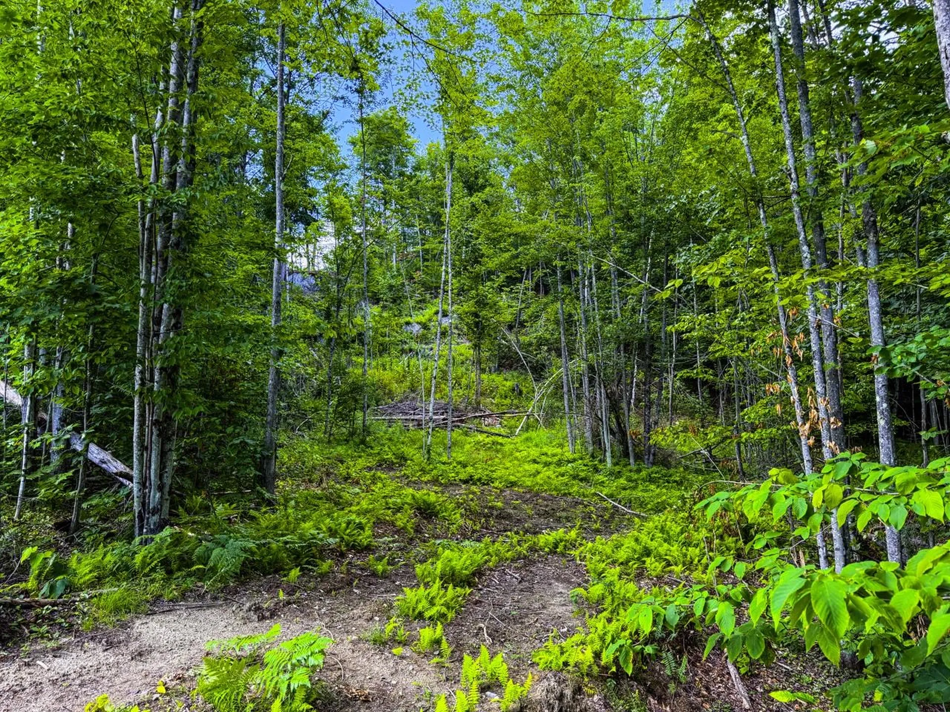 Tbd Wilder Road Duxbury VT 05660