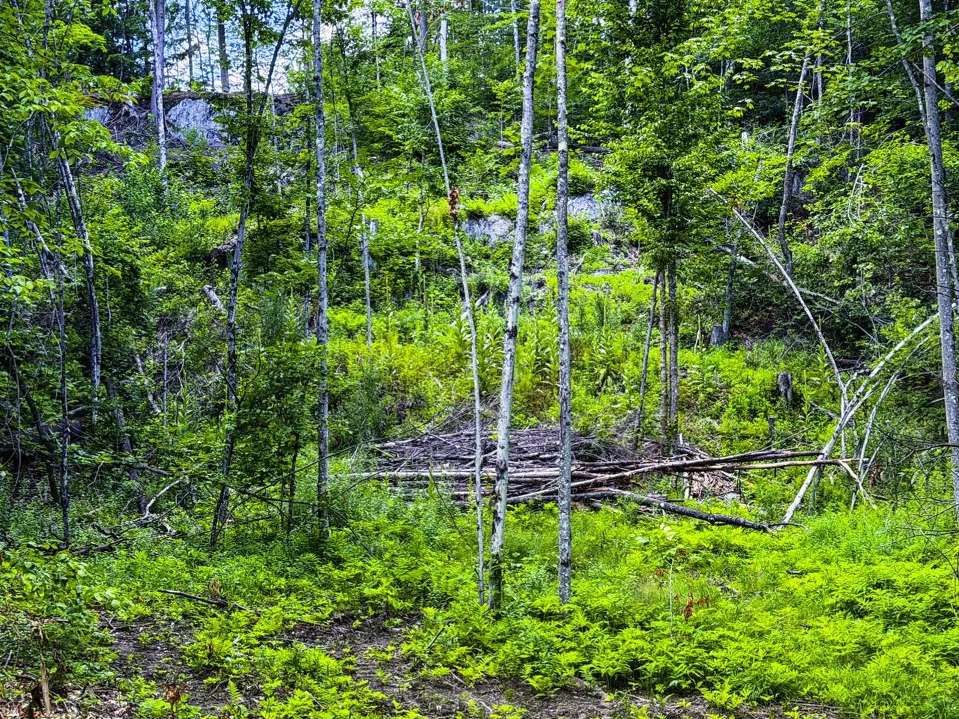 Tbd Wilder Road Duxbury VT 05660