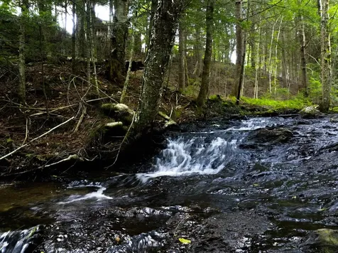 Tbd Wilder Road Duxbury VT 05660