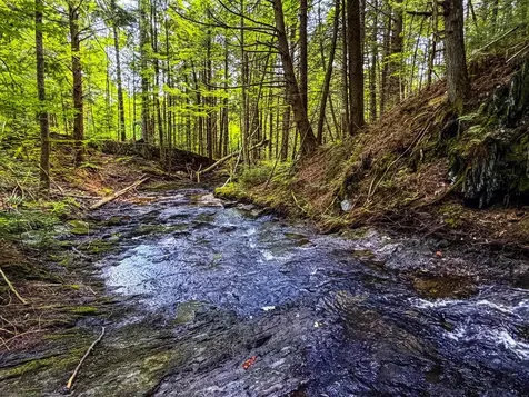 Tbd Wilder Road Duxbury VT 05660