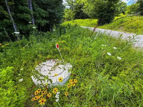Tbd Wilder Road Duxbury VT 05660