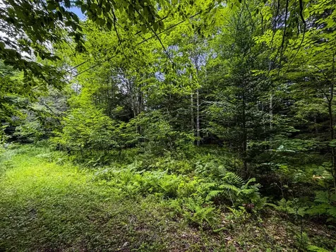 Tbd Wilder Road Duxbury VT 05660