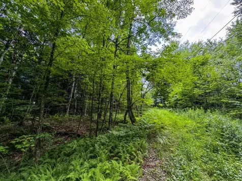 Tbd Wilder Road Duxbury VT 05660