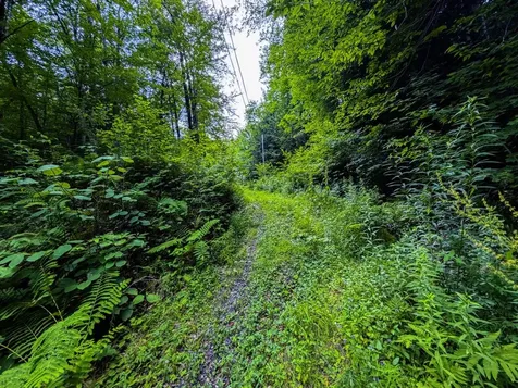 Tbd Wilder Road Duxbury VT 05660