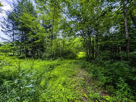 Tbd Wilder Road Duxbury VT 05660